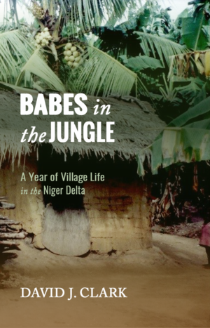 Babes in the Jungle: A Year of Village Life in the Niger Delta